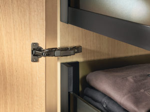 This picture shows a bright cabinet with Blum hinge CLIP top BLUMOTION in onyxblack